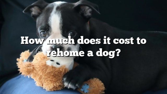 How much does it cost to rehome a dog?