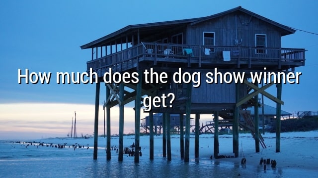 How much does the dog show winner get?
