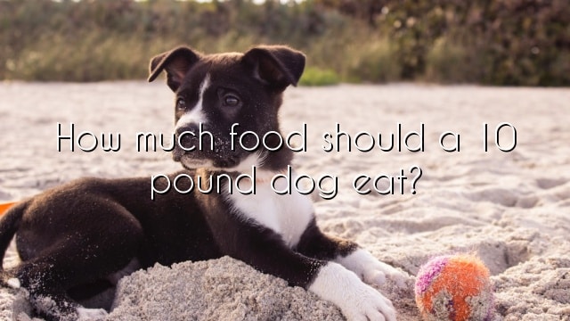 How much food should a 10 pound dog eat?