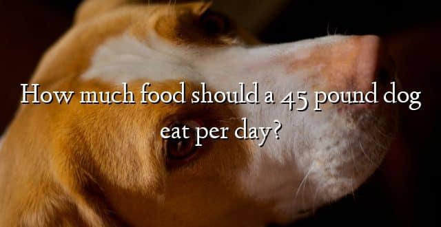 How much food should a 45 pound dog eat per day?