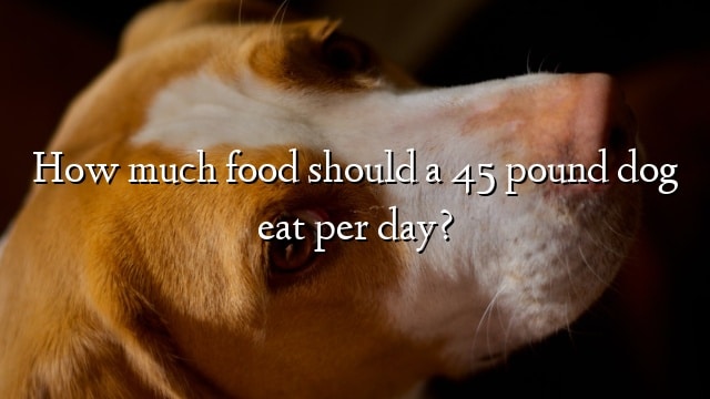 How much food should a 45 pound dog eat per day?