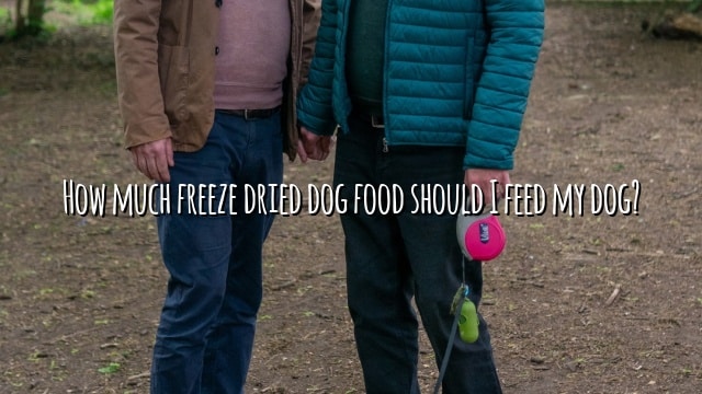How much freeze dried dog food should I feed my dog?