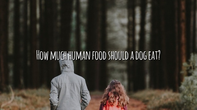 How much human food should a dog eat?