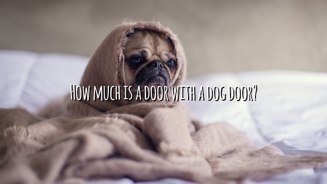 How much is a door with a dog door?