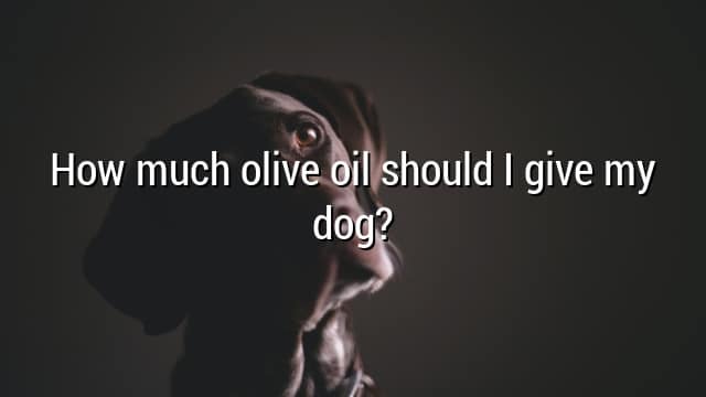 How much olive oil should I give my dog?