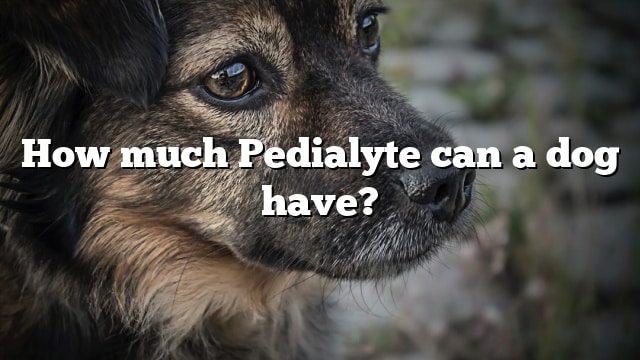 How much Pedialyte can a dog have?