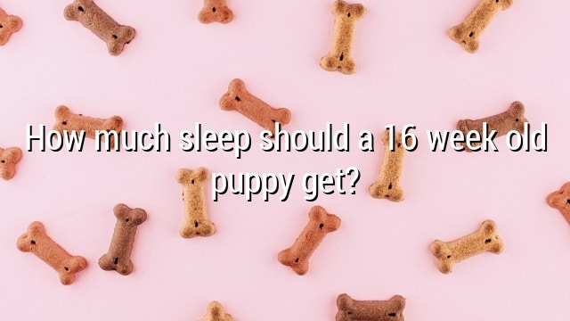 How much sleep should a 16 week old puppy get?
