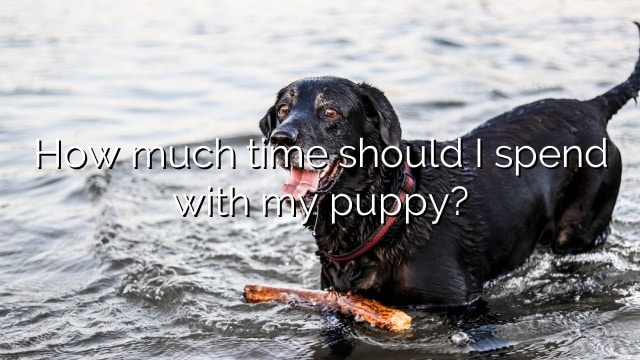 How much time should I spend with my puppy?