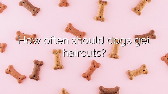 How often should dogs get haircuts?