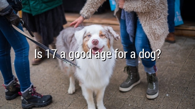 Is 17 a good age for a dog?