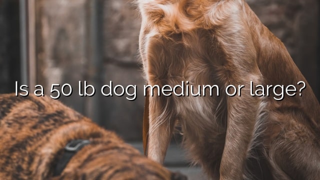 Is a 50 lb dog medium or large?