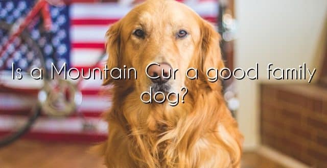 Is a Mountain Cur a good family dog?