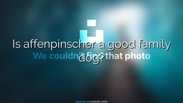 Is affenpinscher a good family dog?