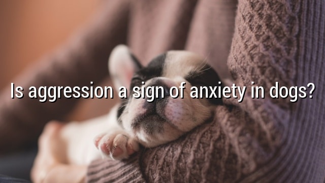 Is aggression a sign of anxiety in dogs?