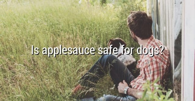 Is applesauce safe for dogs?