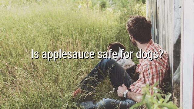 Is applesauce safe for dogs?