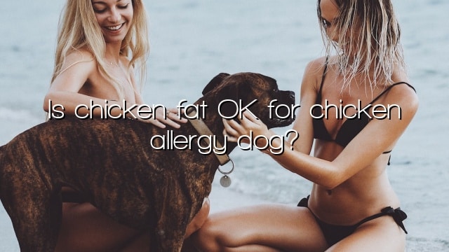 Is chicken fat OK for chicken allergy dog?