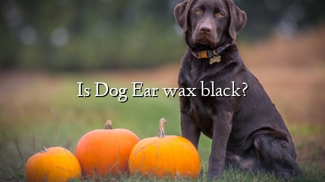 Is Dog Ear wax black?
