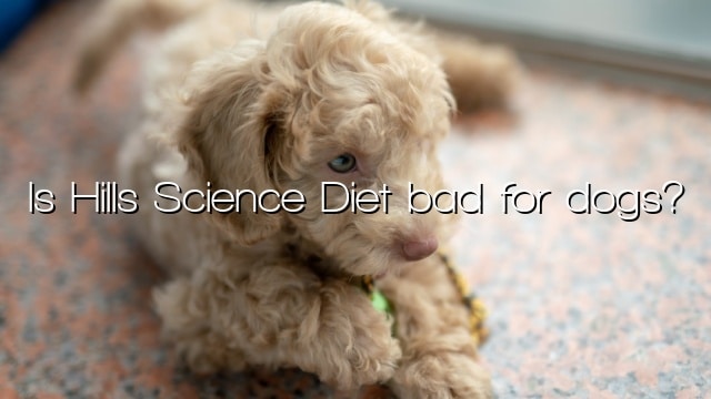 Is Hills Science Diet bad for dogs?