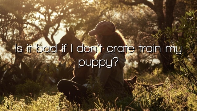 Is it bad if I don’t crate train my puppy?