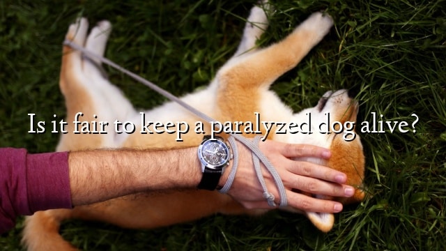 Is it fair to keep a paralyzed dog alive?