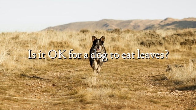 Is it OK for a dog to eat leaves?