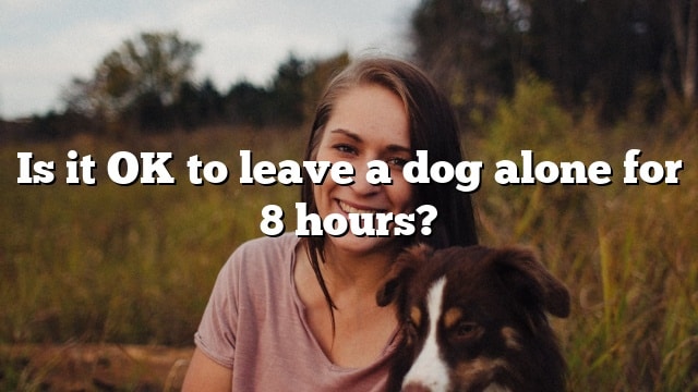 Is it OK to leave a dog alone for 8 hours?