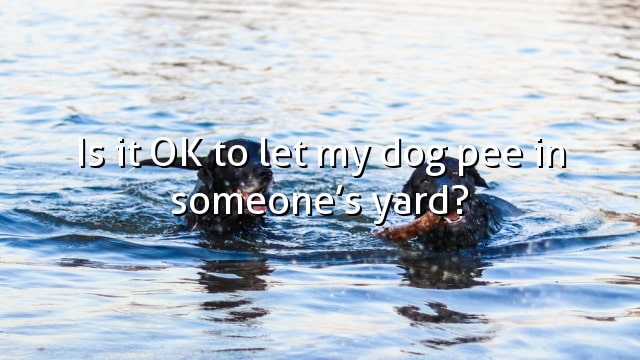 Is it OK to let my dog pee in someone’s yard?