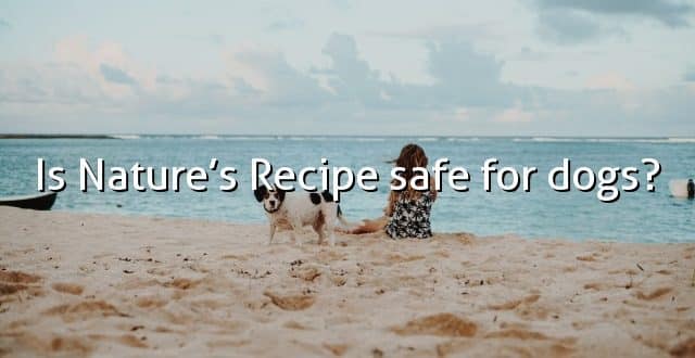 Is Nature’s Recipe safe for dogs?