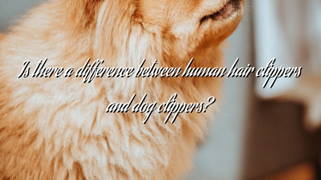 Is there a difference between human hair clippers and dog clippers?