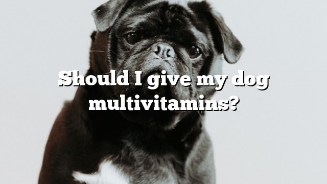 Should I give my dog multivitamins?