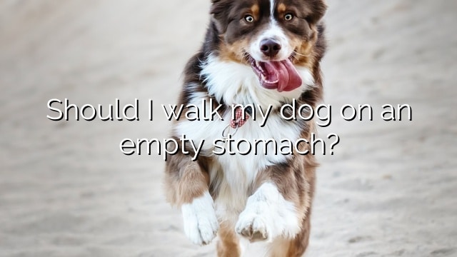 Should I walk my dog on an empty stomach?