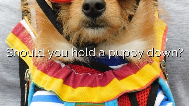 Should you hold a puppy down?