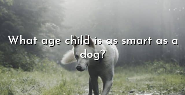 What age child is as smart as a dog?