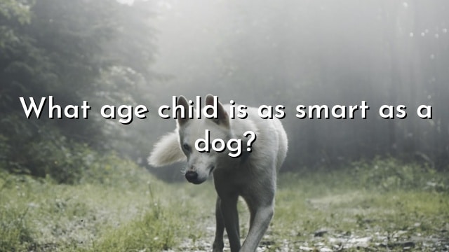 What age child is as smart as a dog?