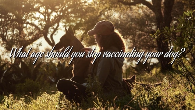 What age should you stop vaccinating your dog?