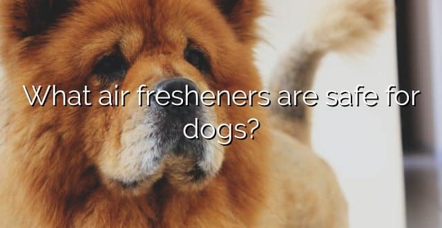 What air fresheners are safe for dogs?