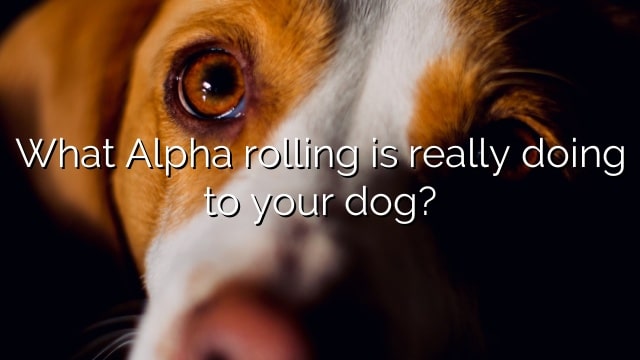 What Alpha rolling is really doing to your dog?