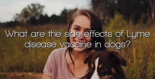 What are the side effects of Lyme disease vaccine in dogs?