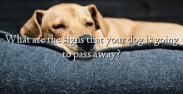 What are the signs that your dog is going to pass away?