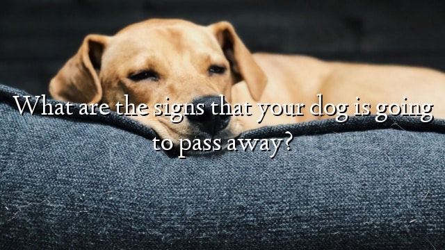 What are the signs that your dog is going to pass away?