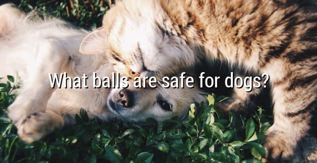 What balls are safe for dogs?