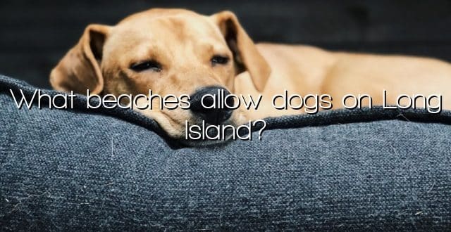 What beaches allow dogs on Long Island?