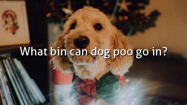 What bin can dog poo go in?