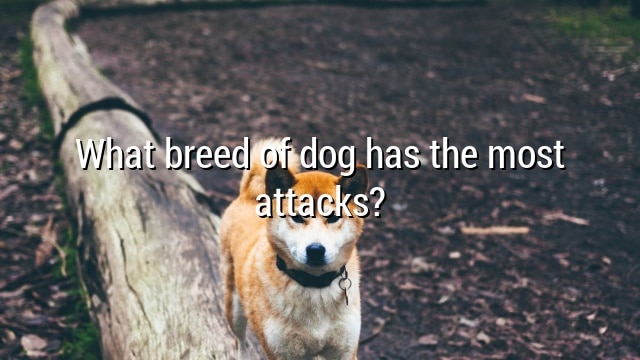 What breed of dog has the most attacks?