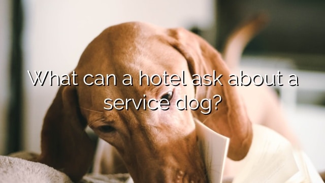 What can a hotel ask about a service dog?