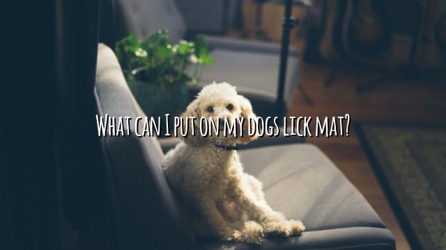 What can I put on my dogs lick mat?