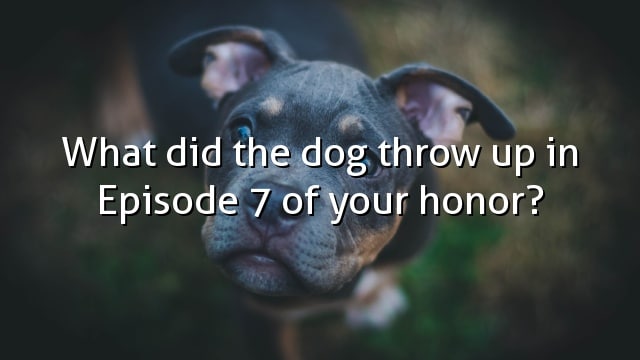 What did the dog throw up in Episode 7 of your honor?