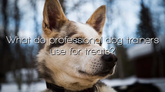 What do professional dog trainers use for treats?