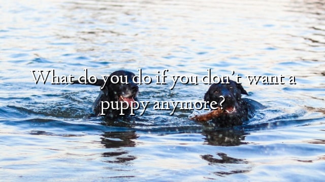 What do you do if you don’t want a puppy anymore?